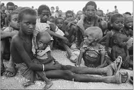 FAO: 805 milhões de pessoas passam fome no mundo