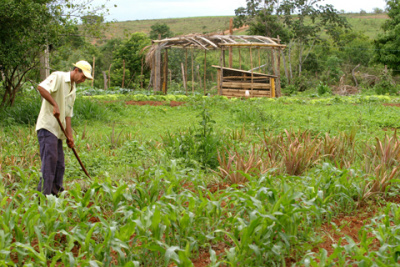 O objetivo é permitir que os agricultores invistam em projetos individuais Foto: Divulgação