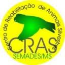 Especialistas do Cras orientam motoristas em caso de acidente com animais