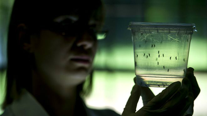Juiz defende direito a aborto em casos de microcefalia com risco comprovado