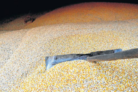 Grupo americano deve instalar fábrica de US$ 100 milhões em MS Foto: Valdenir Rezende/ Correio do Estado