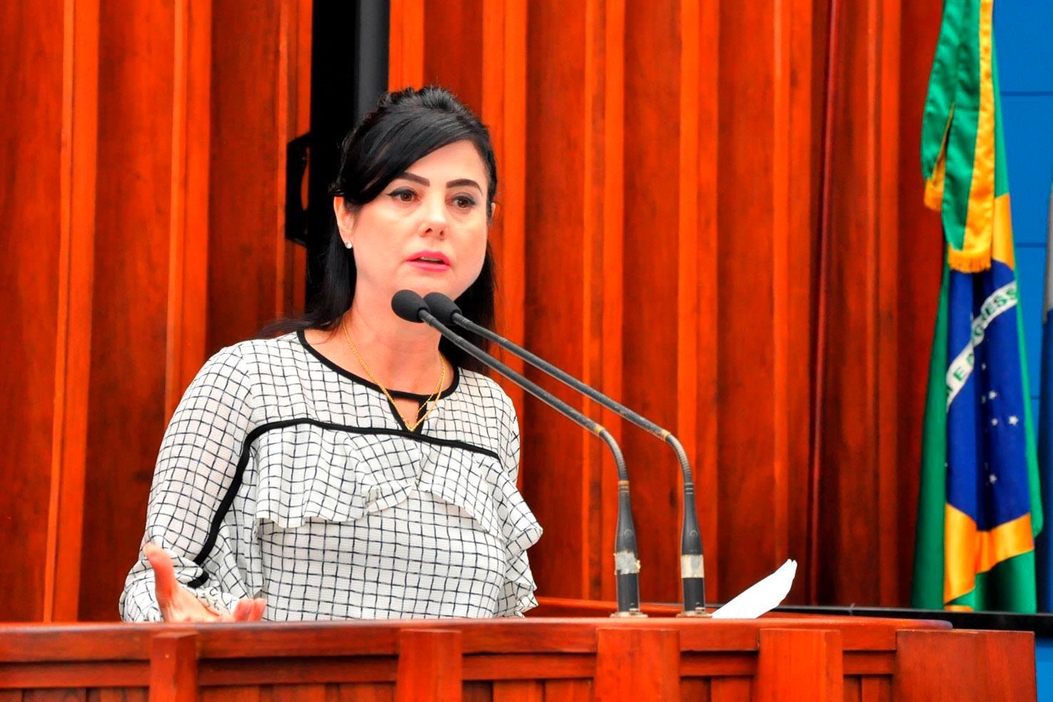 Programa Escola sem Partido volta a ser debatido na Assembleia Legislativa Deputada Mara Caseiro