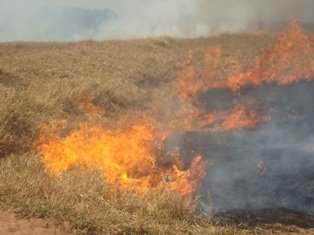 PMA autua pequenos proprietários rurais por incêndio