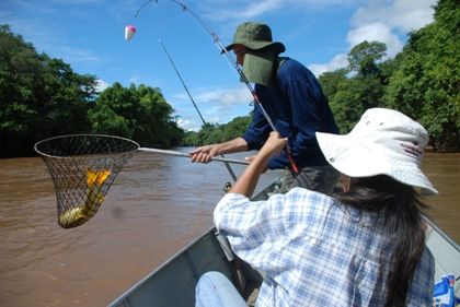 Piracema começa dia 5 de novembro e termina em fevereiro Piracema começa dia 5 de novembro e termina em fevereiro