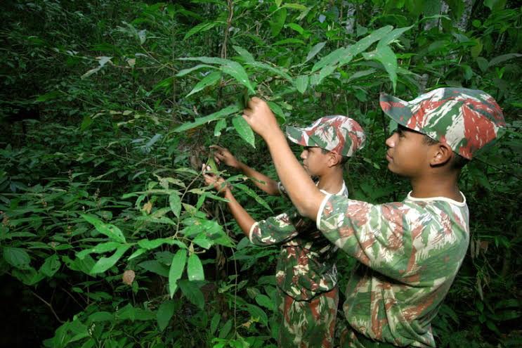 PMA e SAS iniciam atividades do Projeto Florestinha nesta quinta-feira (19)
