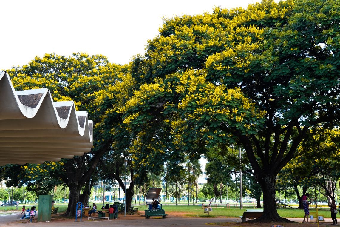 Natureza beneficia bem-estar e saúde da população, mostra pesquisa Valter Campanato/Agência Brasil