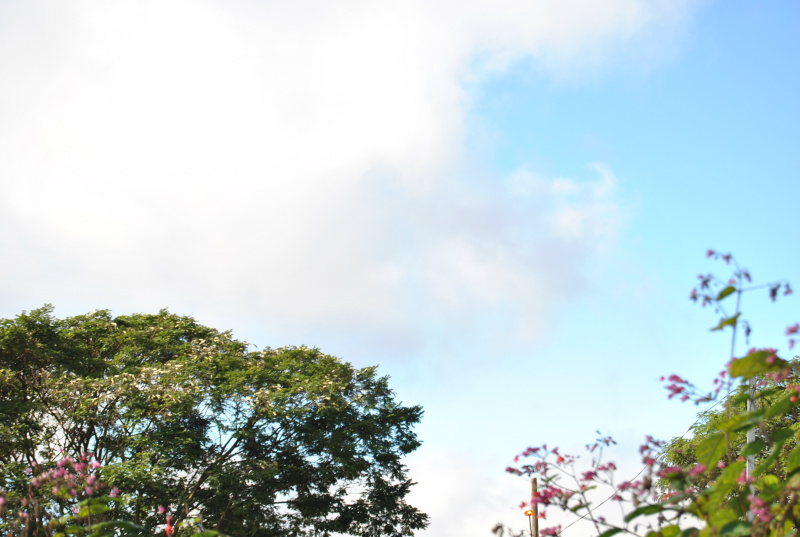 Céu em AmambaiFoto: Moreira Produções