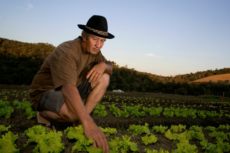 Grupos se preparam para Reunião Especializada sobre Agricultura Familiar Grupos se preparam para Reunião Especializada sobre Agricultura Familiar