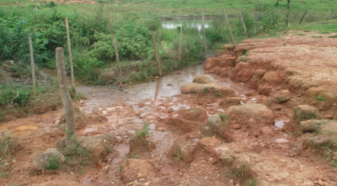 Pecuarista é multado pela PMA por assoreamento e destruição de matas ciliares