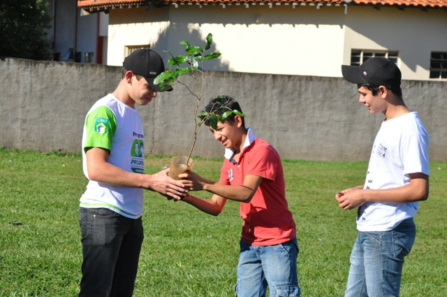 Plantio de mudas foi feito pelos jovens integrantes dos programas oferecidos pelo Centro da Juventude.