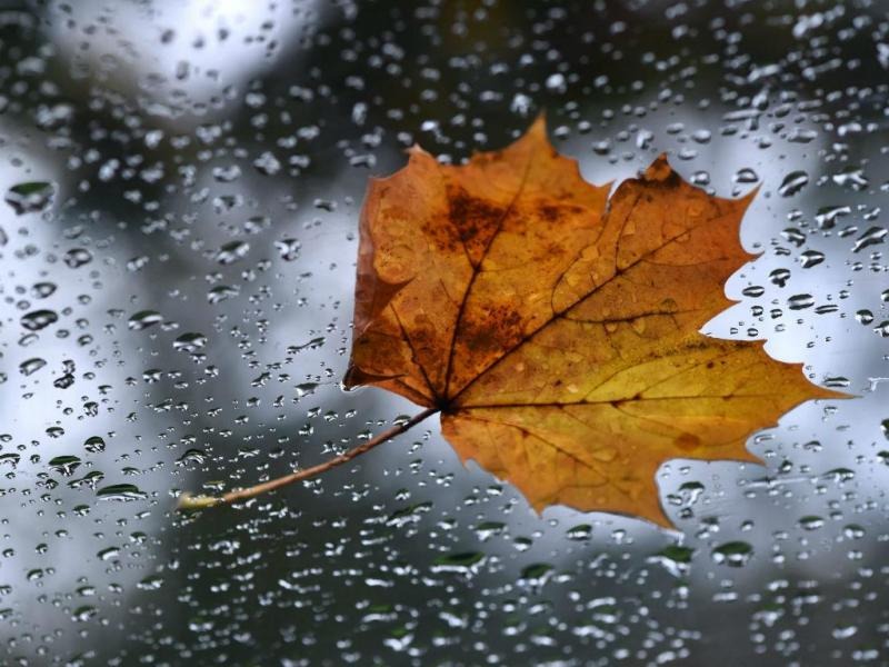 Temperatura pode cair a 10ºC nesta quarta-feira em MS Temperatura pode cair a 10ºC nesta quarta-feira em MS