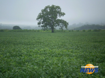 Fazendeiros e índios viram réus por denúncia de arrendamento de terra