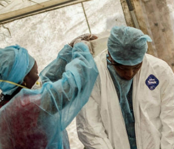 O vírus já infectou 5 mil pessoas. Foto: Irin/Tommy Trenchard