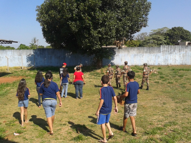 PMA e Projeto Florestinha realizaram ontem (16) plantios e Educação Ambiental