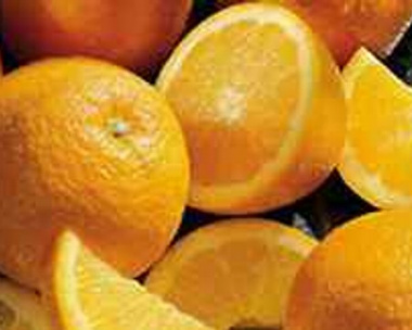 Safra de laranja é vendida antecipadamente