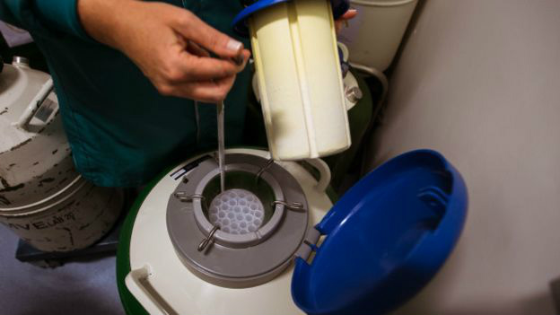 O dilema das mulheres que adiam fertilização por medo da zika Congelamento não prejudica embriões fertilizados