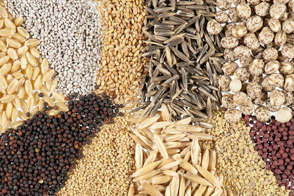 Brasil eleva oferta de alimentos, mas concorrência sobe Brasil eleva oferta de alimentos, mas concorrência sobe