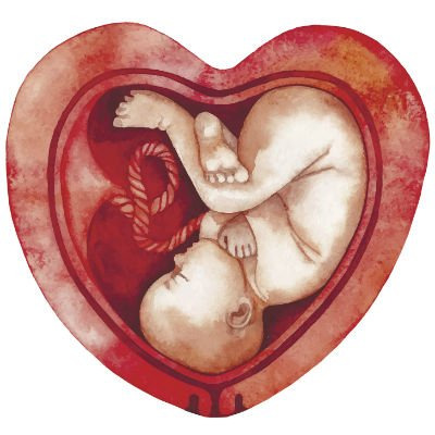 Sexo na gravidez: o que o bebê sente?