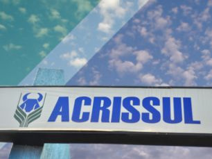 Produtores de MS apontam Acrissul como órgão mais atuante para pecuaristas