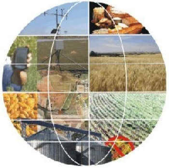 Brasil e Argentina buscam parceria estratégica no agronegócio