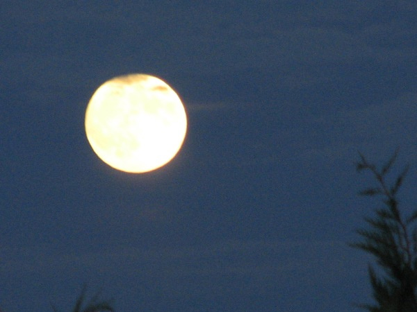 Lua poderá ser observada por telescópio na Feira Central Lua poderá ser observada por telescópio na Feira Central
