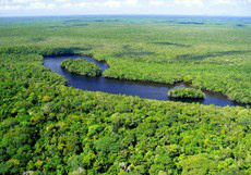 Desde sua adesão à convenção, em 1996, o Brasil promoveu inclusão de 16 unidades de conservação à Lista de RamsarFoto: Divulgação 