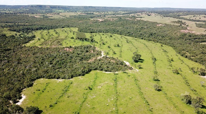 PMA multa proprietária rural e madeireira por crime ambiental