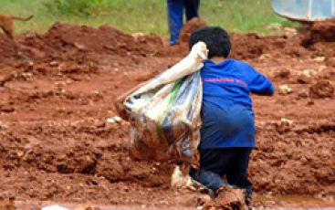 Quase meio milhão de crianças ainda trabalhava no Brasil em 2013 Quase meio milhão de crianças ainda trabalhava no Brasil em 2013