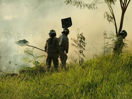 Unidade especializada dos bombeiros redobra esforços no combate a incêndios florestais
