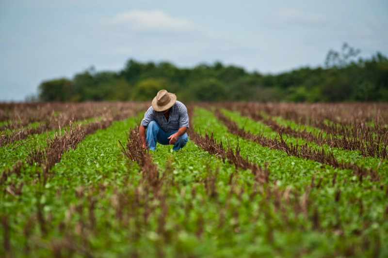 Conselho Monetário aumenta recursos para crédito rural Conselho Monetário aumenta recursos para crédito rural