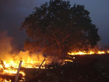 Unidade especializada dos bombeiros redobra esforços no combate a incêndios florestais