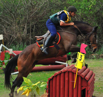 Tenente Jair e o cavalo Herdeiro do Rincão. Esse cavalo, com oito anos de idade, é produto da Coudelaria de Rincão do Exército Brasileiro. (Foto: Eduardo Schlup)