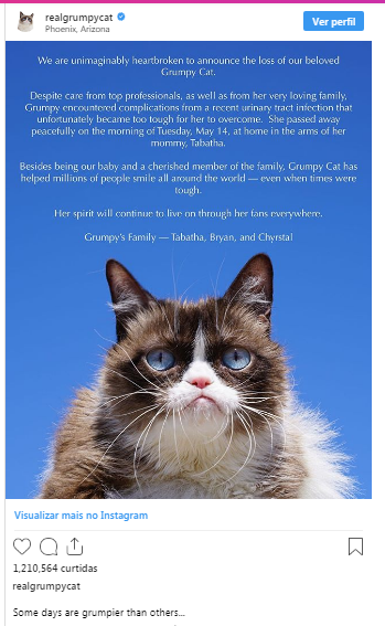 Morre Grumpy Cat, o gato rabugento mais amado da internet