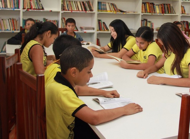 Alguns estados apresentaram frequência superior a 90%, como Espírito Santo, São Paulo e Rondônia 