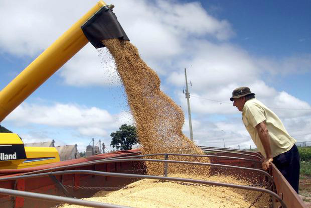 Oferta de alimentos e de energia renovável são temas do Congresso Brasileiro