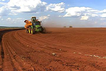 Em MS, produtores rurais encontram alternativas para incrementar renda