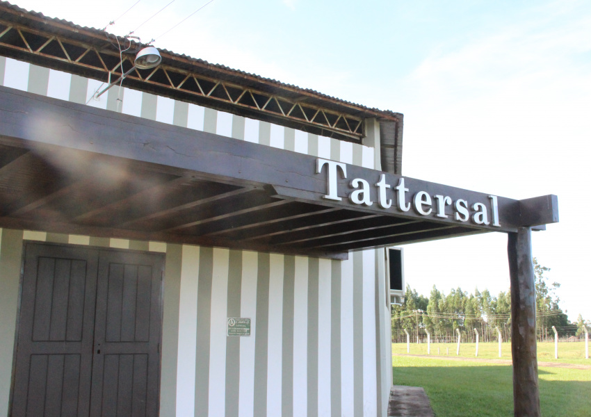 Tatersal, local no qual é realizado os leilões./ Foto:Divulgação