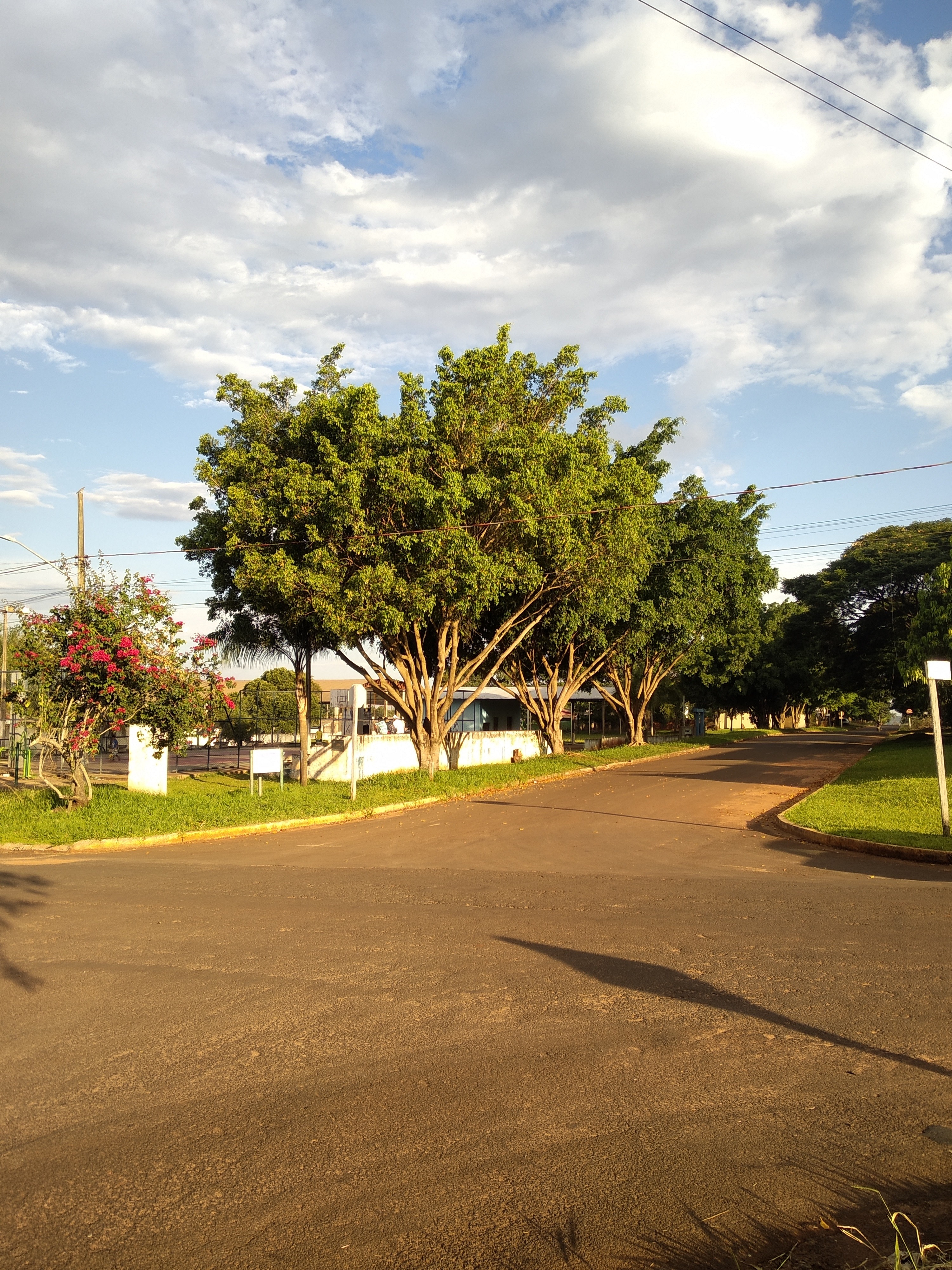 Vereador Geverson quer mutirão de limpeza nas vilas Jardim Panorama e Integradas A poda das árvores que estão ao redor da sede da Associação de Moradores é uma das solicitações do vereador Geverson Vicentim / Foto: Moreira Produções