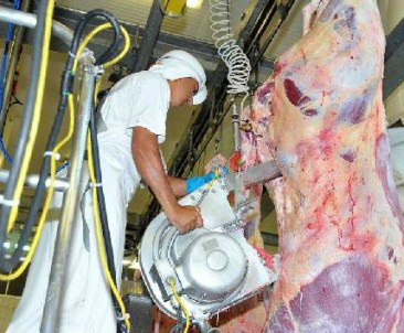 Governo do Egito reafirma não suspensão de importação de carne brasileira Governo do Egito reafirma não suspensão de importação de carne brasileira