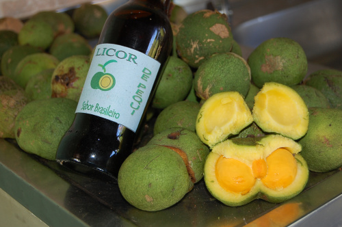 Alunos da escola estadual Mbo’ Eroy vendem pequi nesta sexta-feira em Amambai Pequi, planta típica do cerrado brasileiro. Uma de suas utilizações é na fabricação de licor. Foto: Moreira Produções.