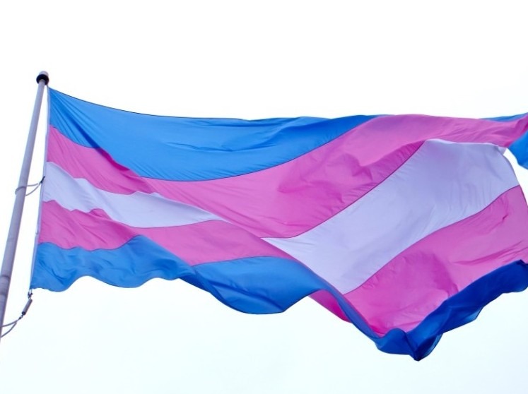 Foto: Ilustração (Bandeira da Representatividade Transexual)