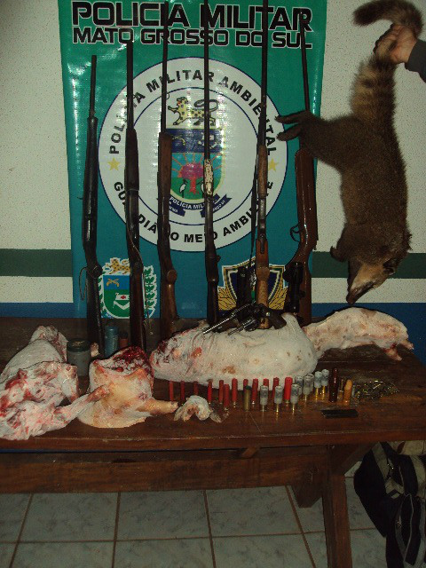 PMA prende quatro caçadores com seis armas e sete animais abatidos em Eldorado PMA prende quatro caçadores com seis armas e sete animais abatidos em Eldorado