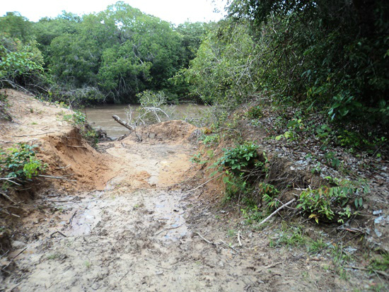Desmatamento da mata ciliar em Coxim.