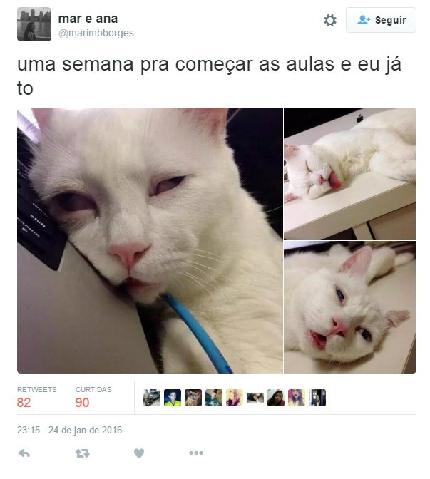 12 reações dos estudantes na volta às aulas