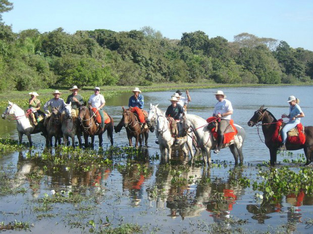 Pantanal do Rio Negro MS é destaque no G1.com.br Pantanal do Rio Negro MS é destaque no G1.com.br