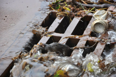Serviços de manutenção e limpeza de bueiros são cobrados na Câmara de Amambai O vereador quer que a prefeitura realize manutenção e limpeza dos bueiros / Foto: Assessoria