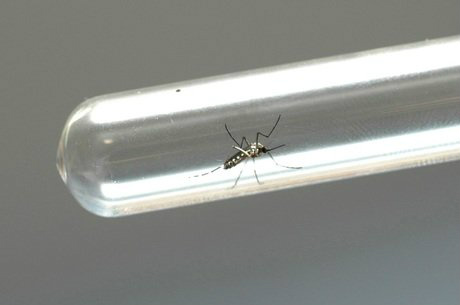 China se prepara para eventual chegada do vírus Zika à Ásia