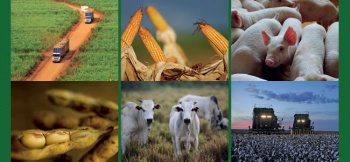 Agronegócio, mais uma vez, puxa o crescimento do PIB brasileiro Agronegócio, mais uma vez, puxa o crescimento do PIB brasileiro