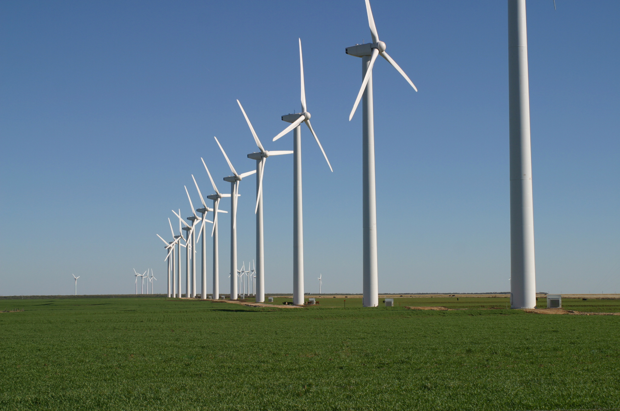 Geração de energia eólica deve continuar crescendo nos próximos anos