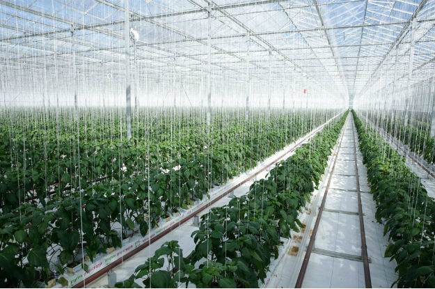 Uso inteligente de recursos naturais pode injetar US$ 2 trilhões na economia